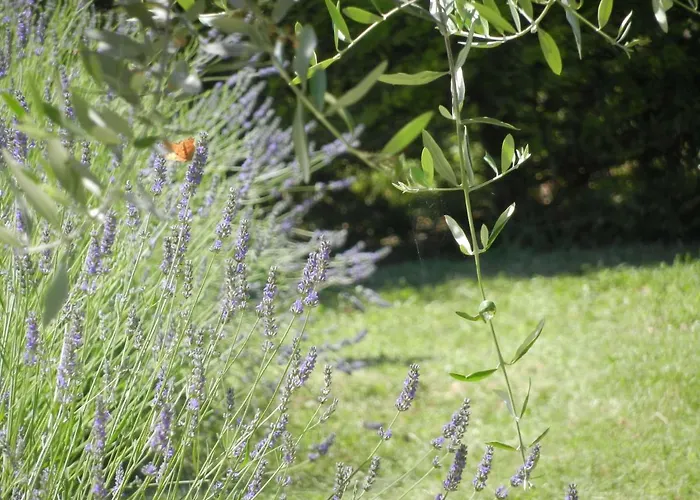 Bed & Breakfast Primavera