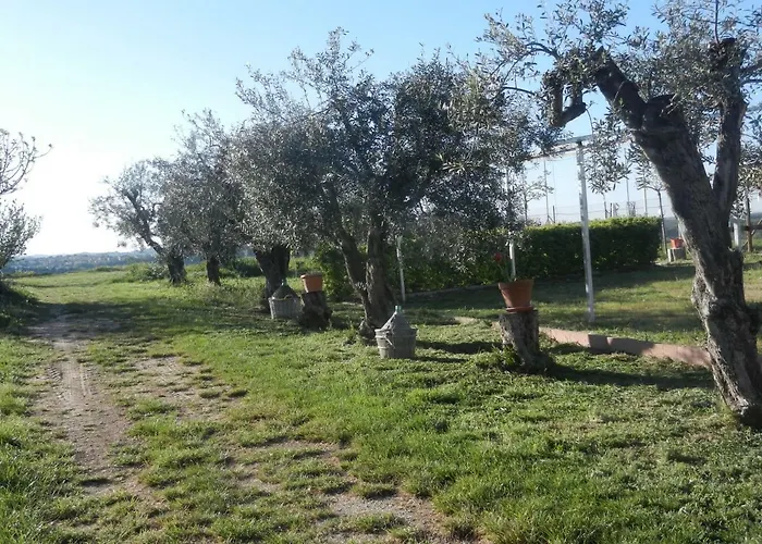 Bed & Breakfast Primavera 3*