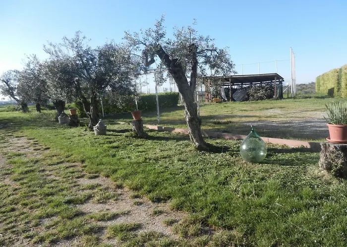 Primavera Canosa Sannita